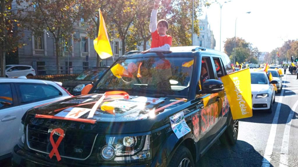 Un hombre se manifiesta en Madrid.