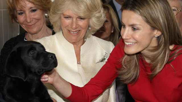 La reina Letizia acariciando a un perro junto a Camilla Parker Bowles y Esperanza Aguirre en un acto público en Madrid en 2011.