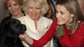 La reina Letizia acariciando a un perro junto a Camilla Parker Bowles y Esperanza Aguirre en un acto público en Madrid en 2011.
