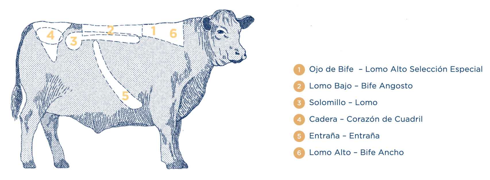 Cortes de carne argentina Pampeana
