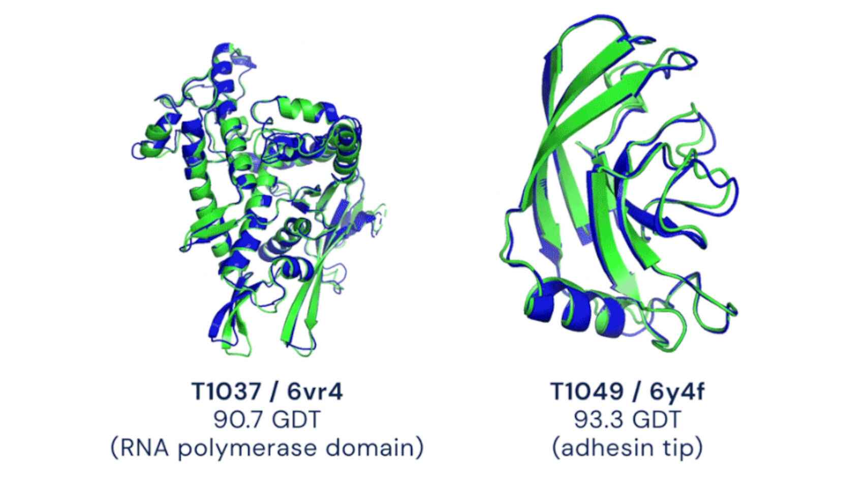 Plegamiento de proteínas resultado de experimentos (verde) y de IA (azul)