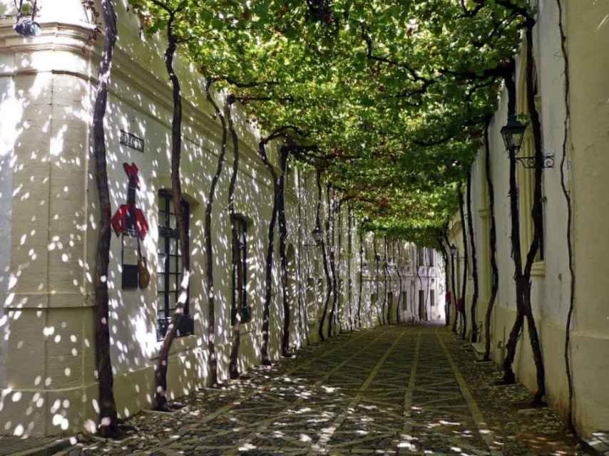 La calle Ciegos, en el interior de Tío Pepe, es de las más bonitas de Jerez.