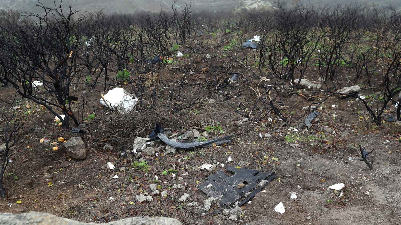 Restos del vehículo accidentado en una zona de vegetación calcinada por el incendio de 2019.