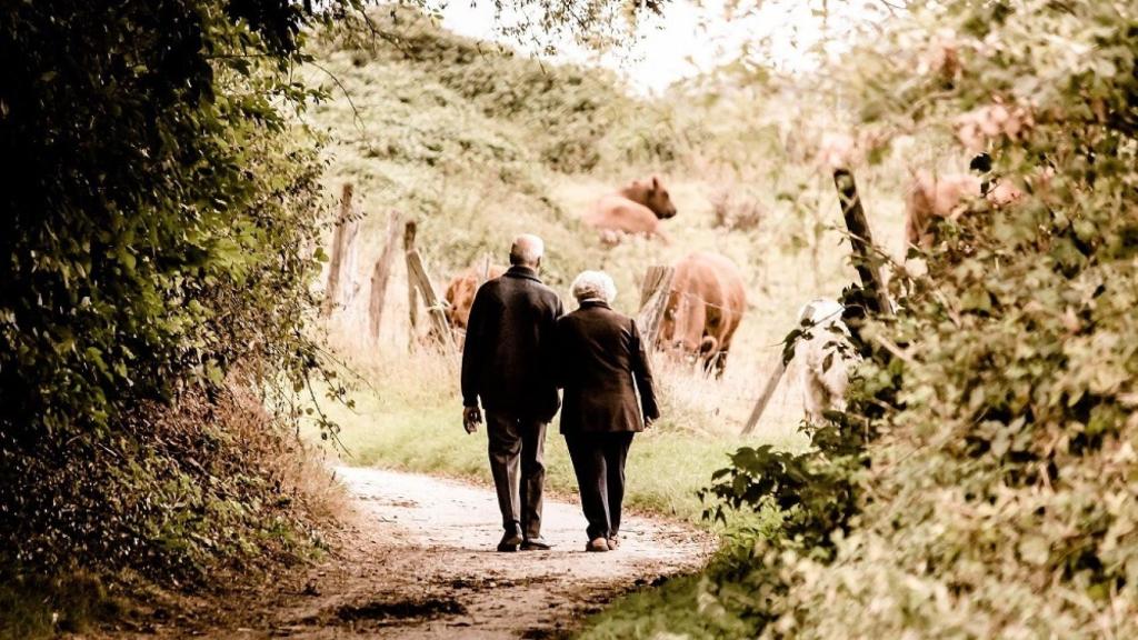La edad legal de jubilación subirá a 66 años desde enero y la pensión se calculará con 24 años cotizados