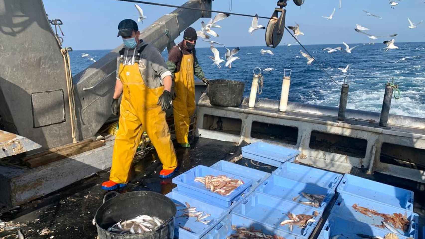 La pesca española dispondrá de una transición de 5 años y medio tras el brexit