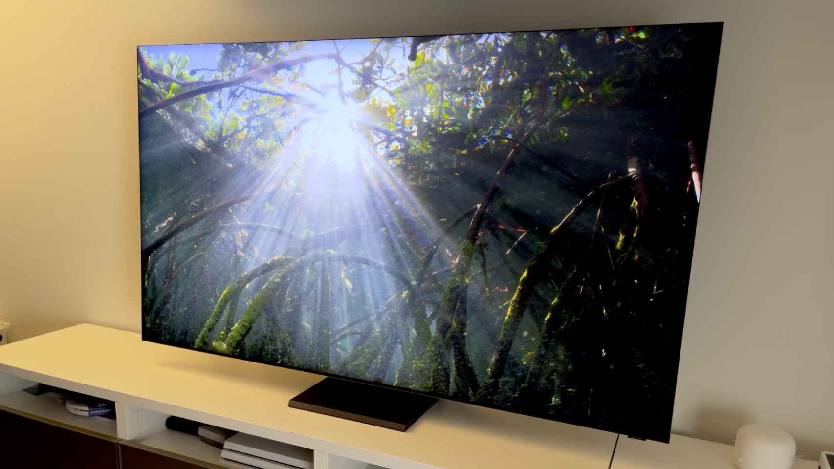 Panel OLED, 55 pulgadas y Alexa: este televisor LG está en oferta y nunca  ha estado
