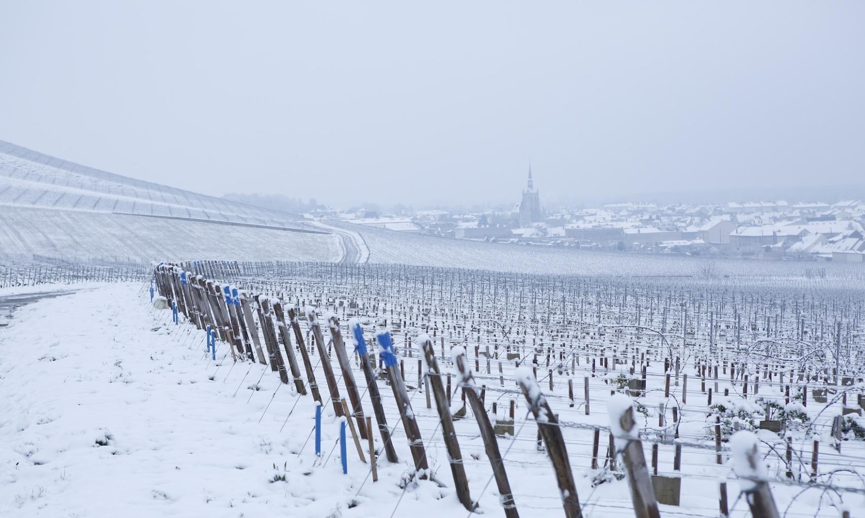 La singularidad del terroir y el clima de Champagne, lo más importante.