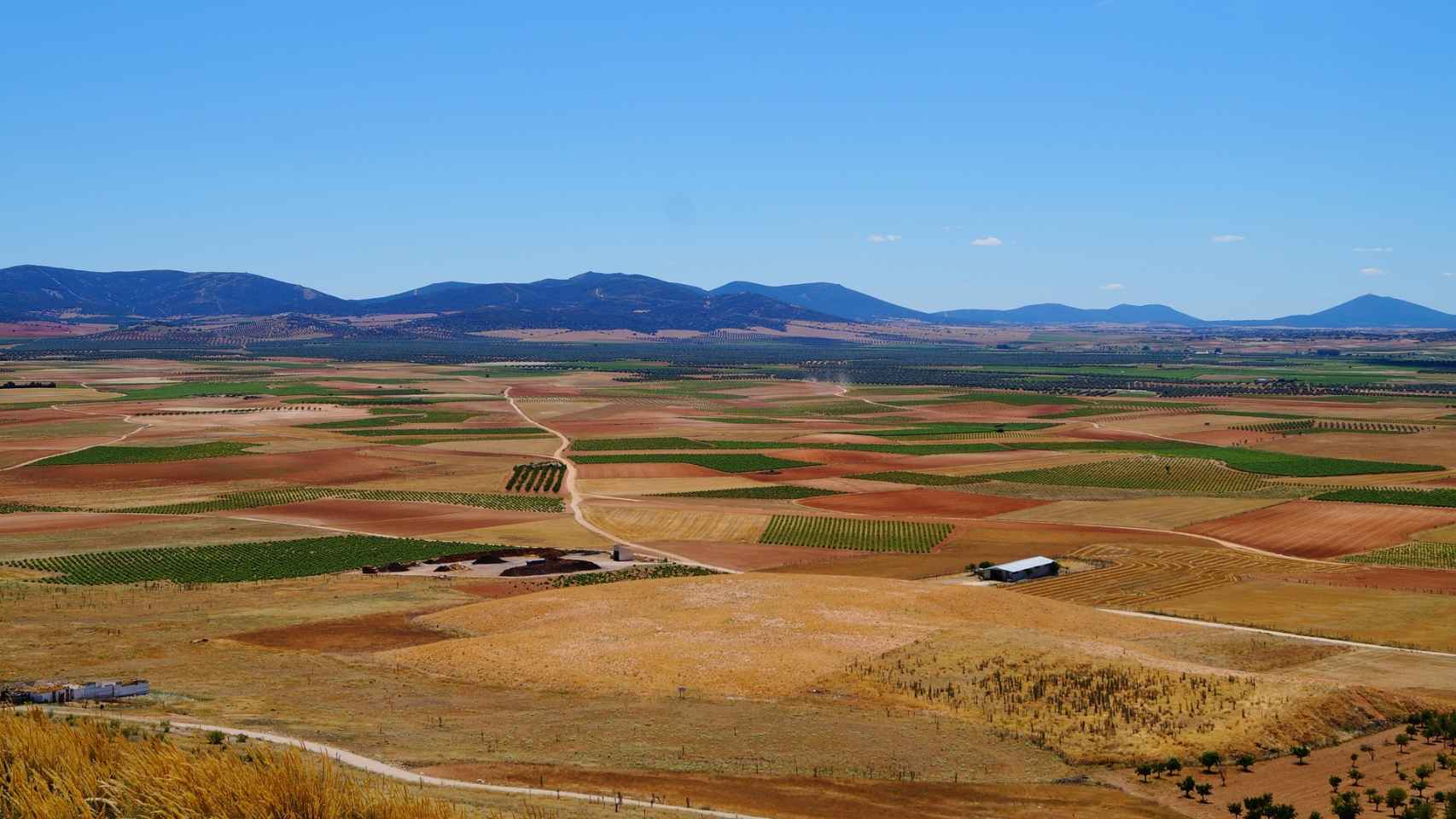 Imagen de los campos de Castilla-La Mancha.