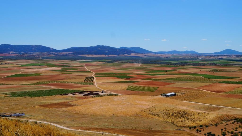 Imagen de los campos de Castilla-La Mancha.