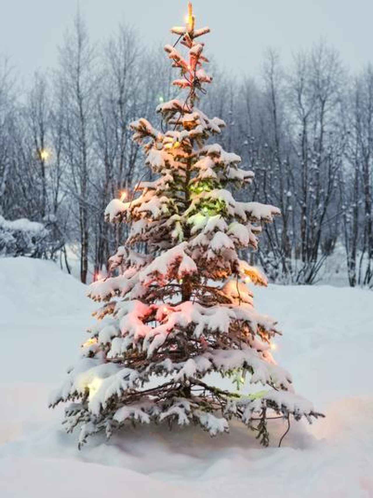 Árbol de Navidad en Suecia.