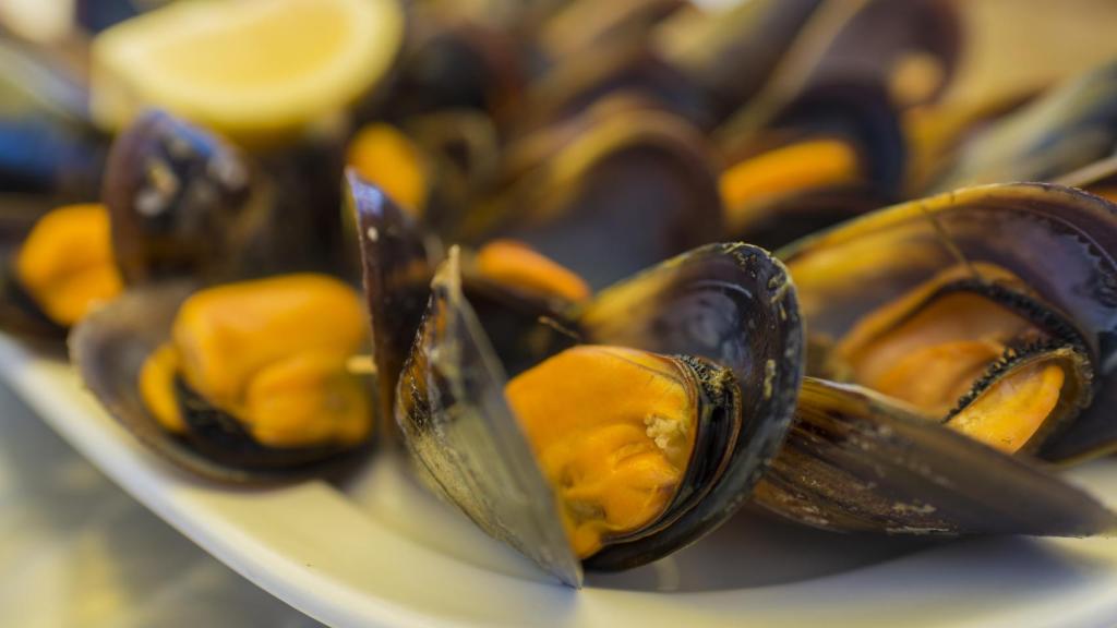 Un plato de mejillones al vapor.