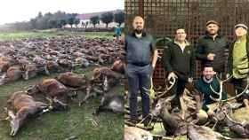 Los 16 cazadores españoles que han abatido a 540 animales: la montería que indigna a Portugal