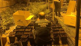 Operación antidroga de la Guardia Civil en la Cañada Real.