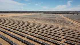 Endesa conecta a la red dos plantas solares que suman 100 MW en Sevilla