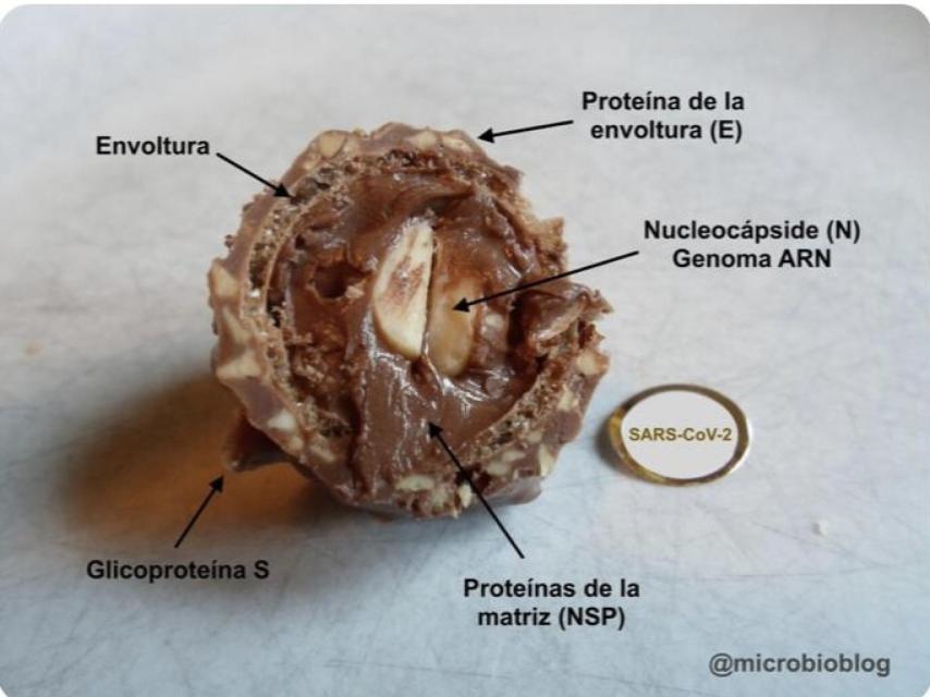 Explicación gráfica de la respuesta.