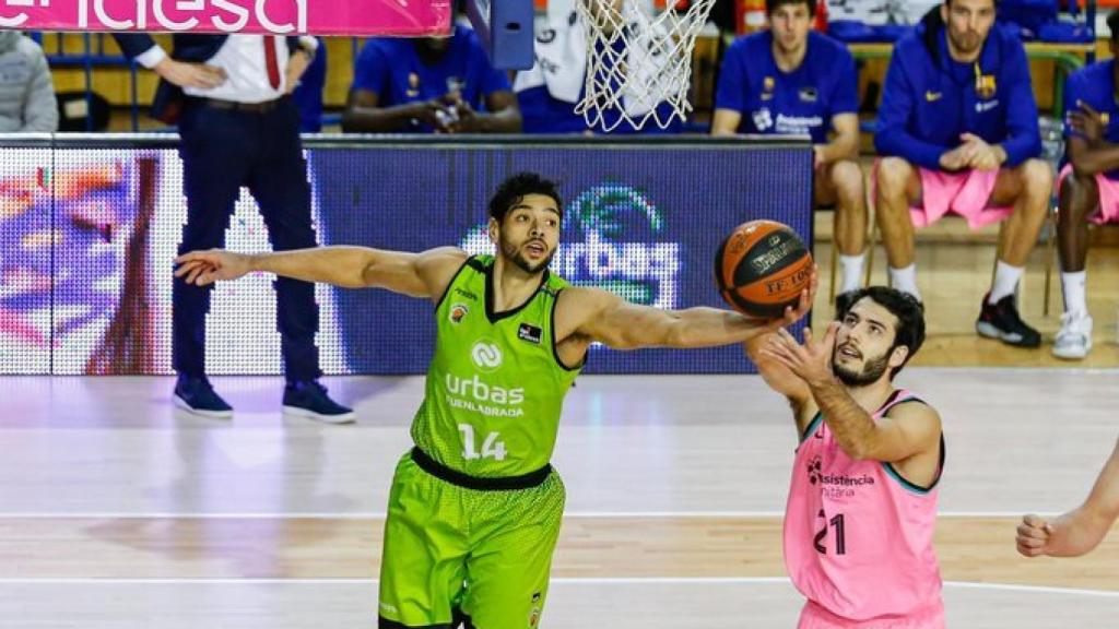 Abrines luchando una bola