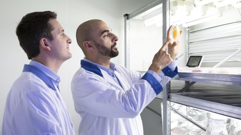 Albert Jané y Óscar Expósito, fundadores de Vytrus Biotech, una muestra de uno de sus ingredientes activos.