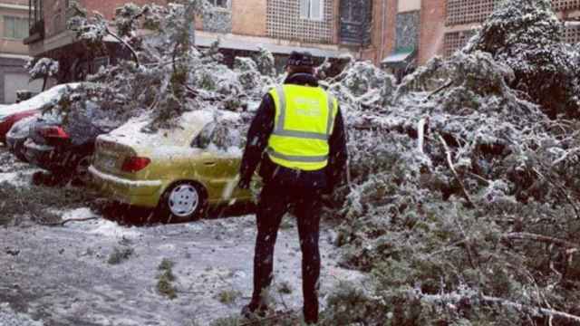 Un agente de la Policía Local de Toledo observa el destrozo de la nieve en la Avenida de la Reconquista de Toledo este viernes