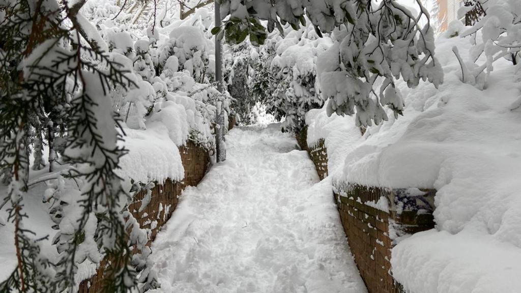 Grosor de la nieve en Madrid.