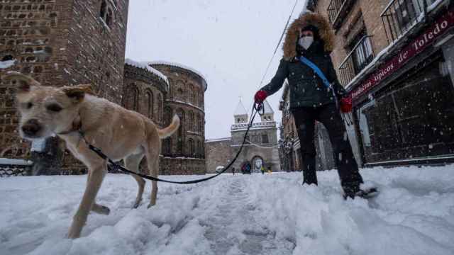Una persona pasea junto a su perro en Toledo.