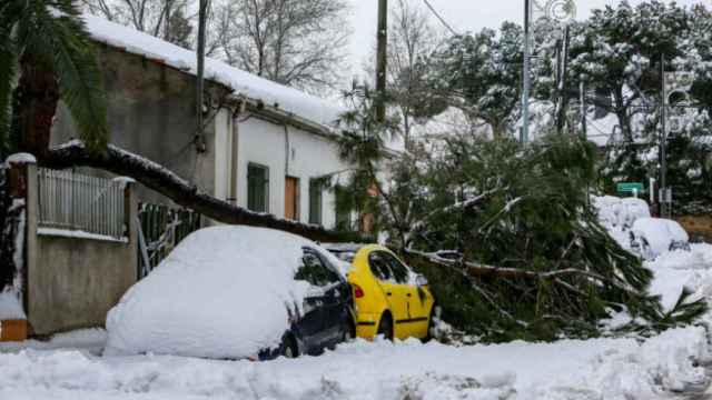 Un árbol caído sobre un coche como consecuencia del temporal | EP