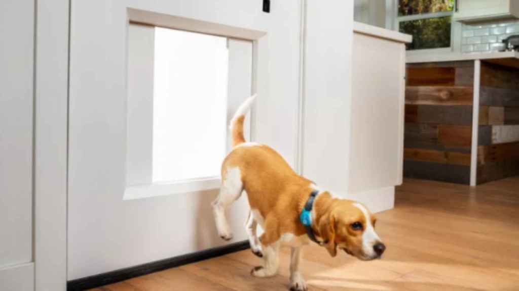 En el CES 2021 se ha mostrado una puerta inteligente para perros.
