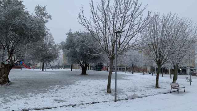 Valladolid frio 15 enero (5)