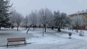 Valladolid frio 15 enero (4)