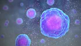 Las células inmunitarias liberan citoquinas. Foto: www.cientificanimations.com