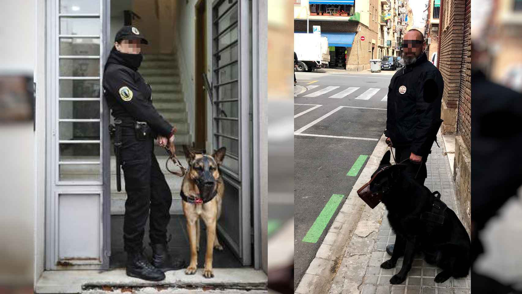 Dos vigilantes con sus respectivos perros, en un desalojo.