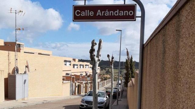 Poda de plátanos en la calle Arándano del barrio de Valparaíso de Toledo