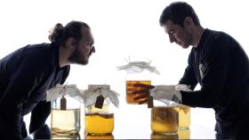 No es un vino, tampoco una kombucha, es mucho más.