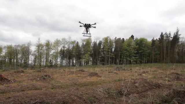 Estos drones pueden plantar más de 100.000 árboles por hora