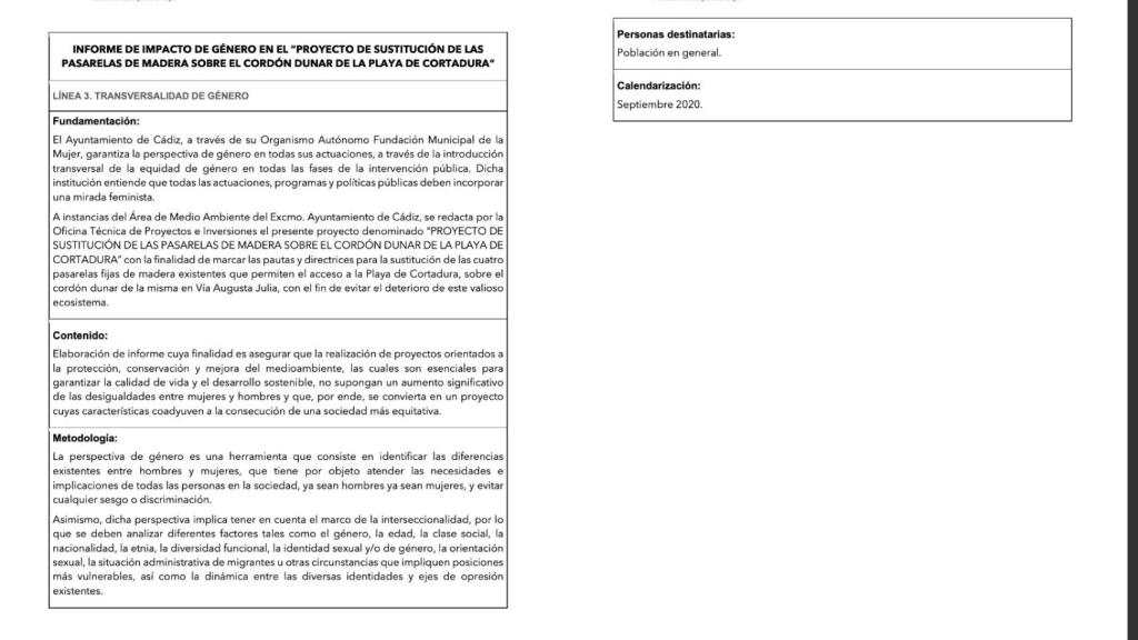 Informe de la Fundación de la Mujer del Ayuntamiento de Cádiz