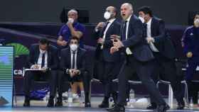 Pablo Laso dando indicaciones durante la final de Copa entre Real Madrid y Barcelona