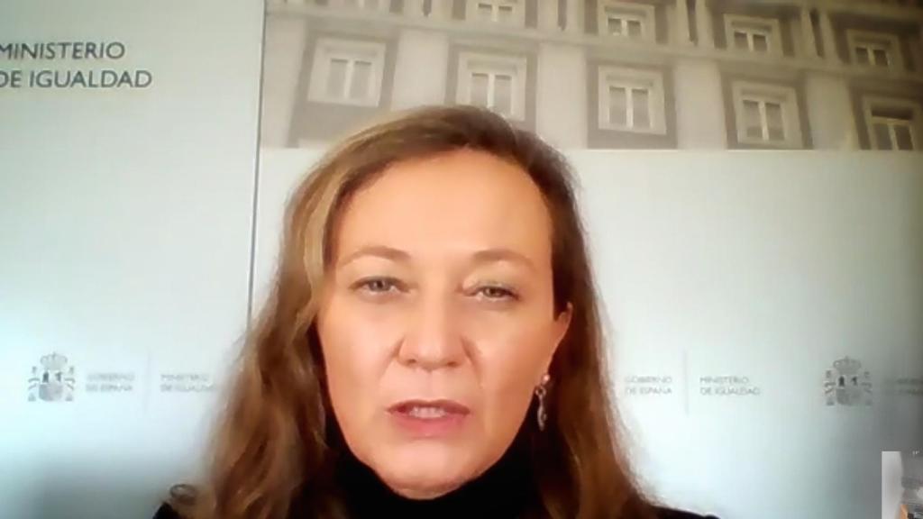 Victoria Rosell, delegada del Gobierno contra la Violencia de Género, en un encuentro virtual con la prensa.