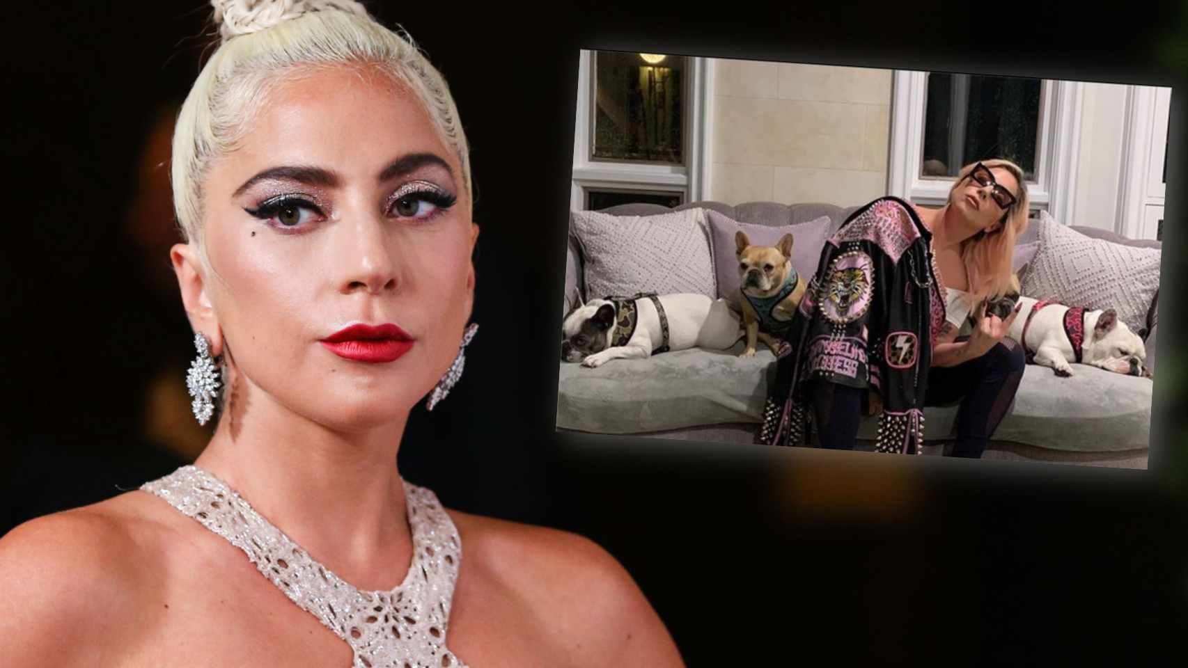 Lady Gaga quiere recuperar a sus dos perros ofreciendo medio millón de dólares.