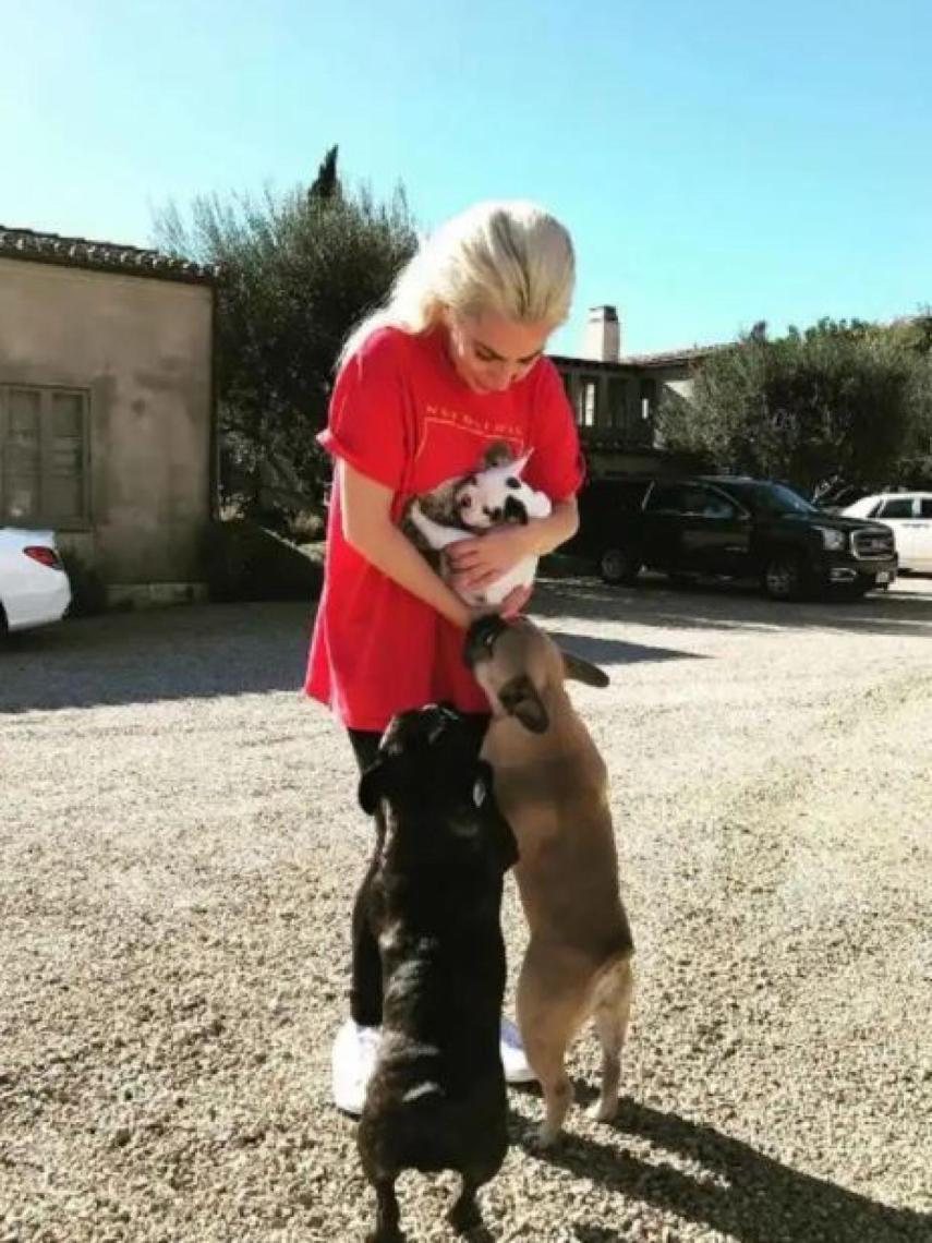 La cantante, muy cariñosa, con sus tres perros.
