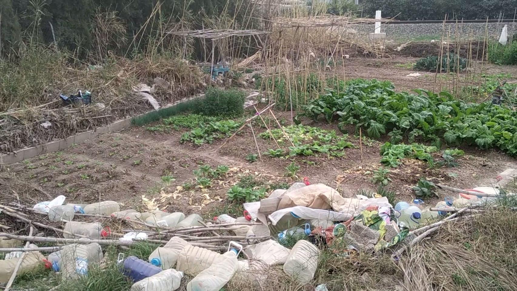 Huerto okupa en Alcantarilla