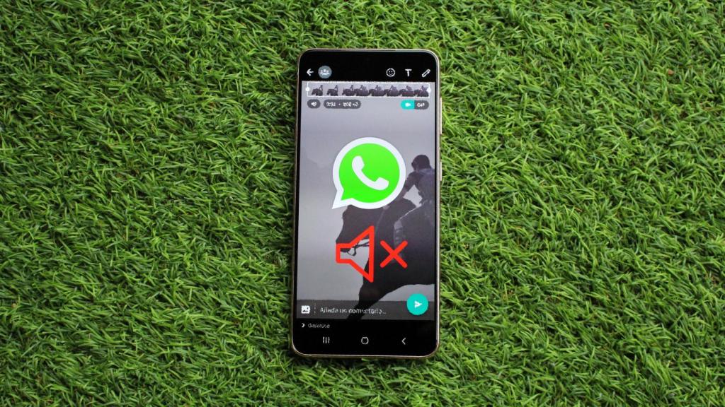 WhatsApp reproducirá los vídeos sin sonido por defecto.