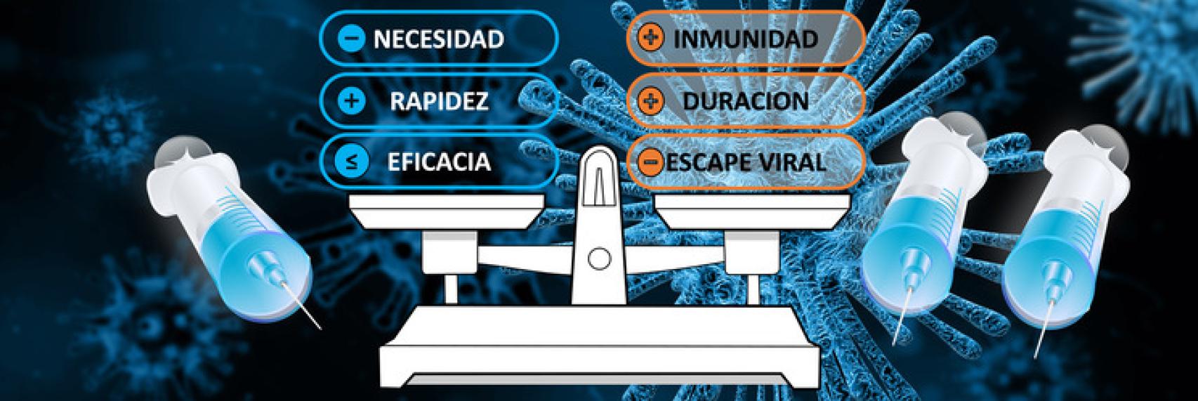 Representación gráfica de las distintas opciones.