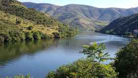 Ruta enológica y patrimonial por la Ribera del Duero