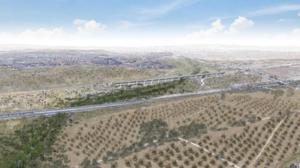 Infografía del proyecto 'A flor de yeso'.
