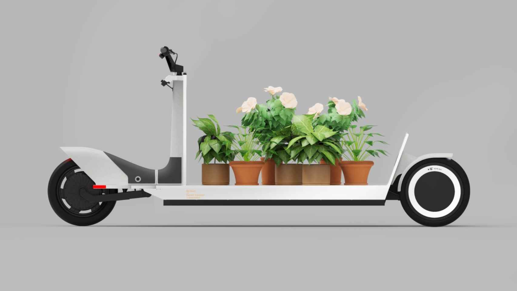 El Re: Move transportando plantas.
