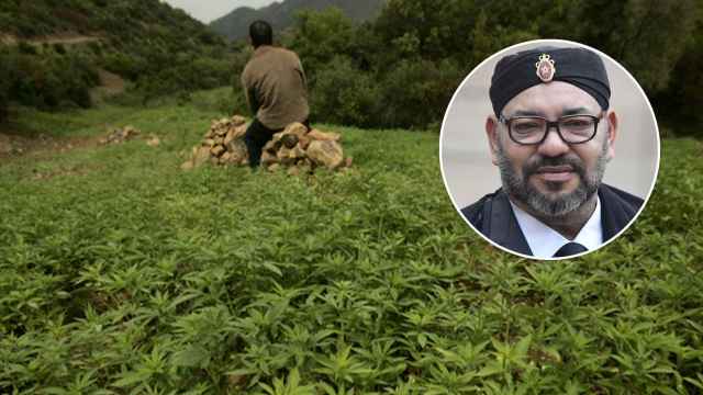Una plantación de cannabis y Mohamed VI, en un fotomontaje.
