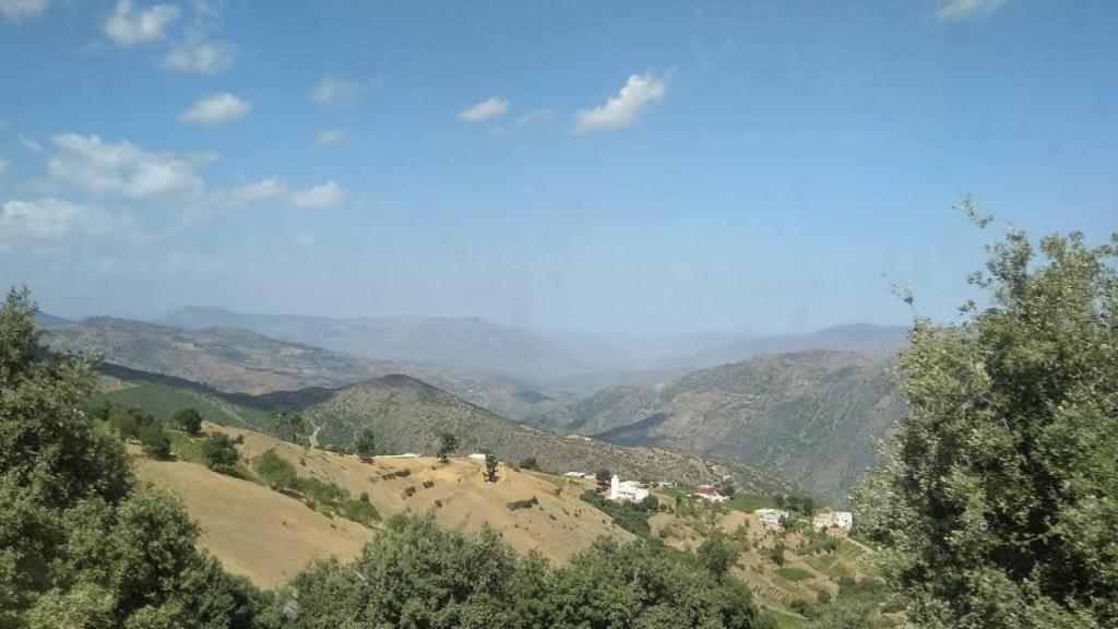El cultivo ilegal ha supuesto la deforestación de los grandes montes del Rif.