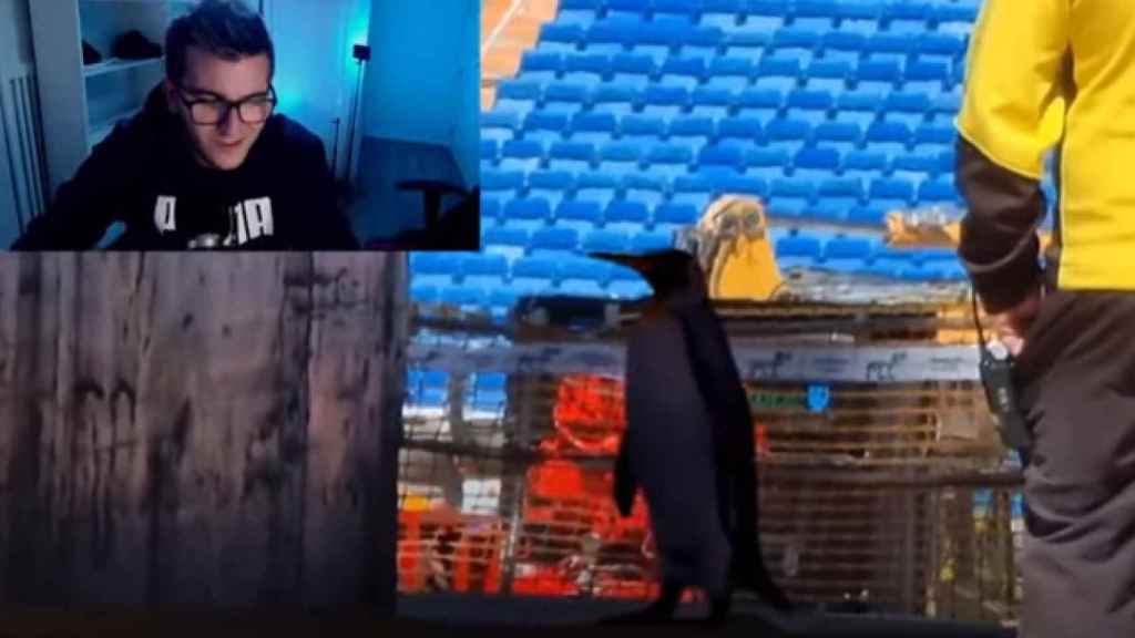 Los pingüinos en las obras del Santiago Bernabéu: el troleo de Javier Caireta del que todo el mundo habla