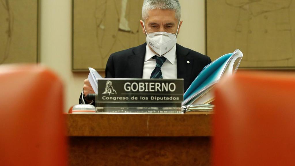 Fernando Grande-Marlaska, ministro del Interior.