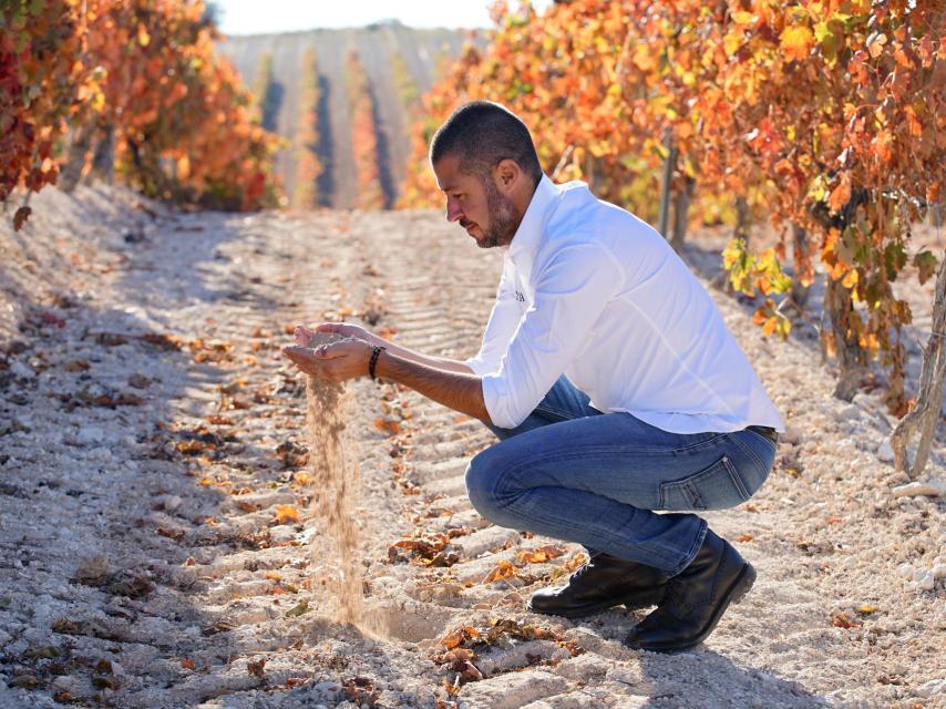 Vicente Pliego en el viñedo.