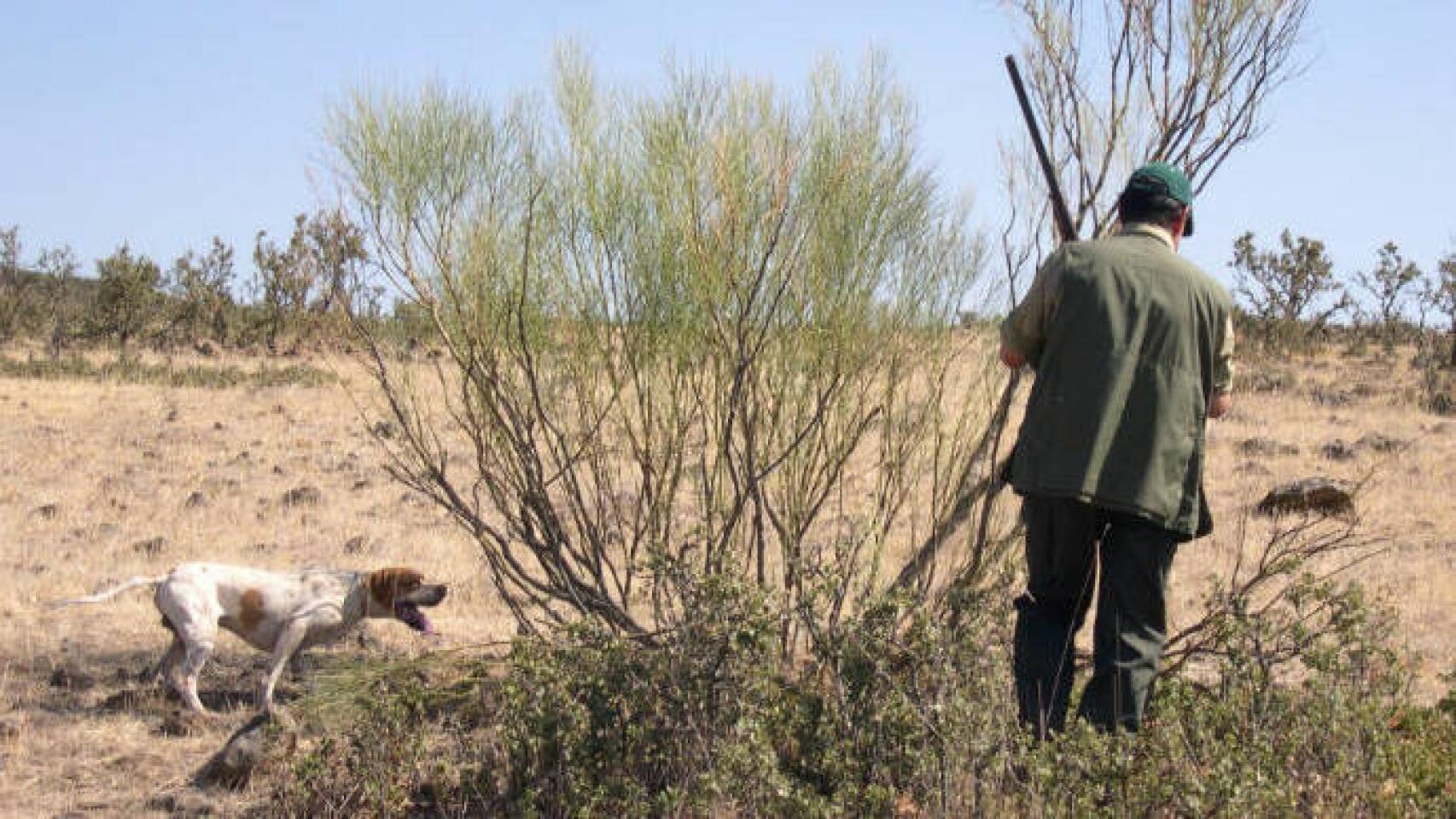 Éste es el borrador de la orden de vedas de caza en CastillaLa Mancha